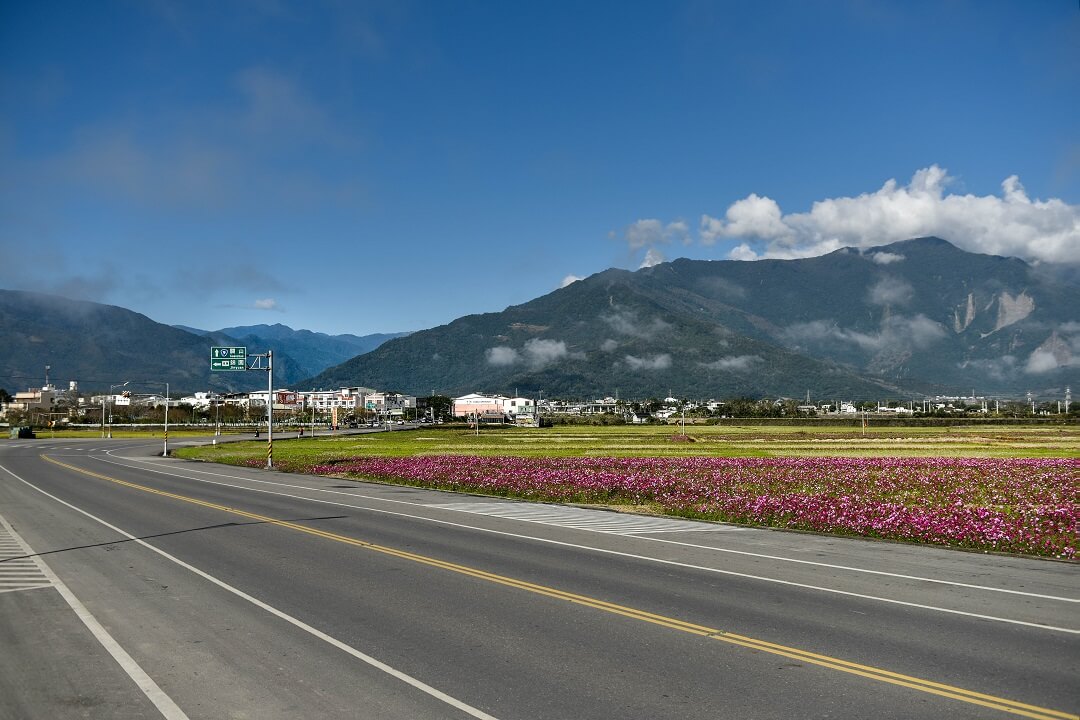 池上 花海