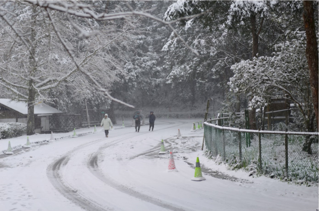 霸王級寒流來襲時，明池山莊前的道路被靄靄白雪所覆蓋