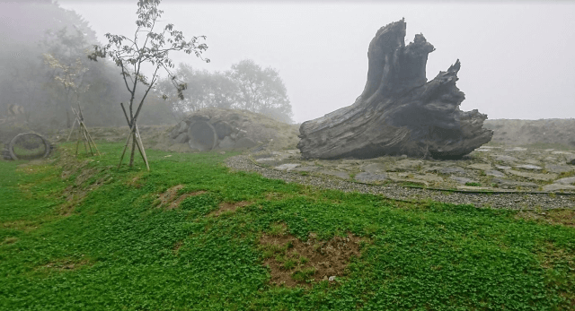 鹿林山登山口，共3張