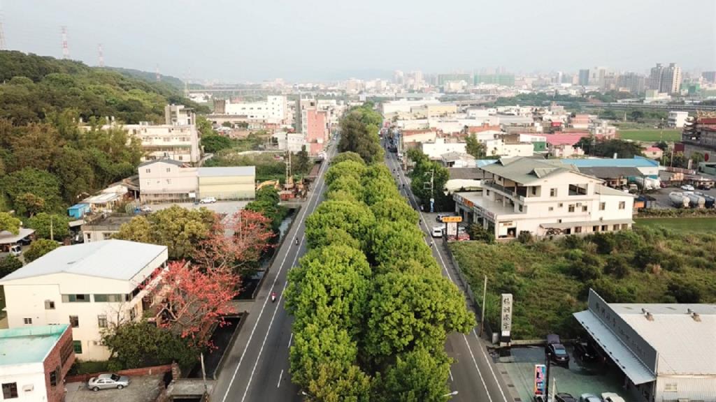 空拍新竹台1線66.5到67.4k公里中央分向島沿線種植楓香行車在這路段綠意盎然