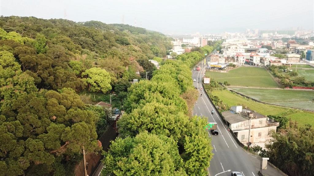 空拍楓香大道南下車道