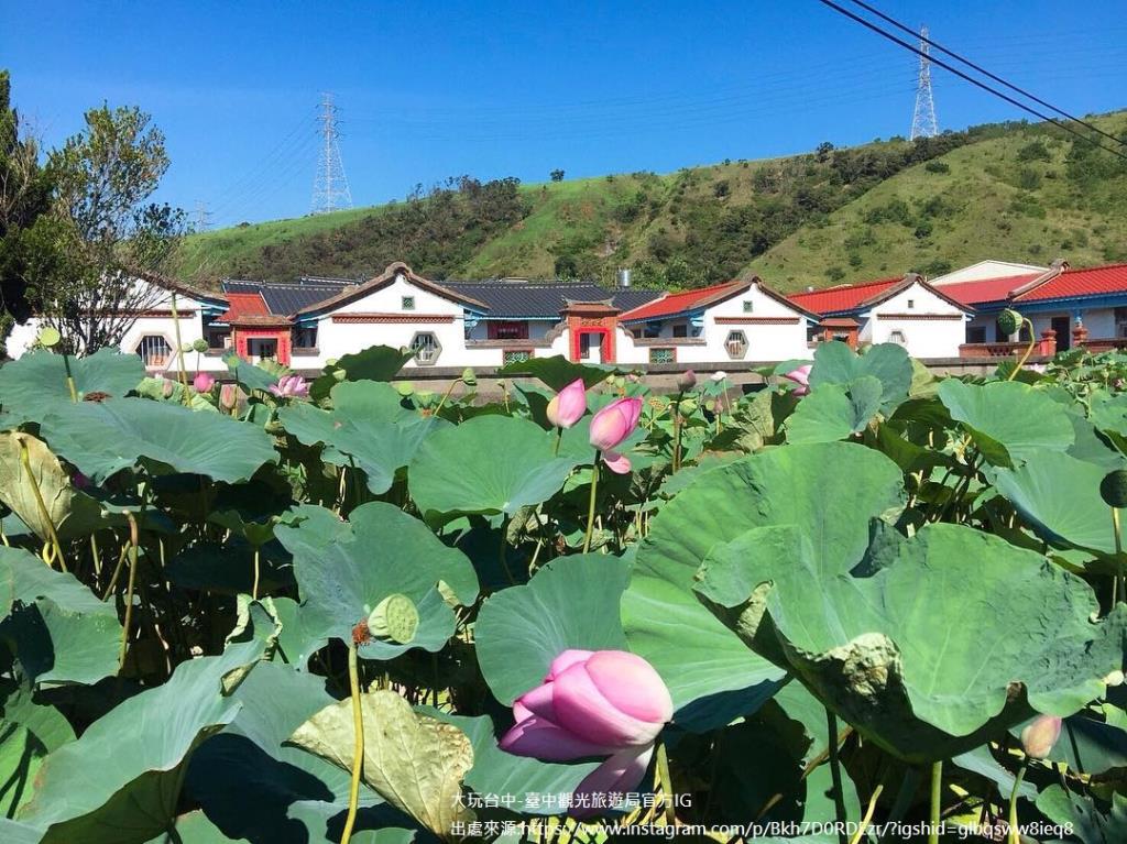 清水趙家古厝蓮花池