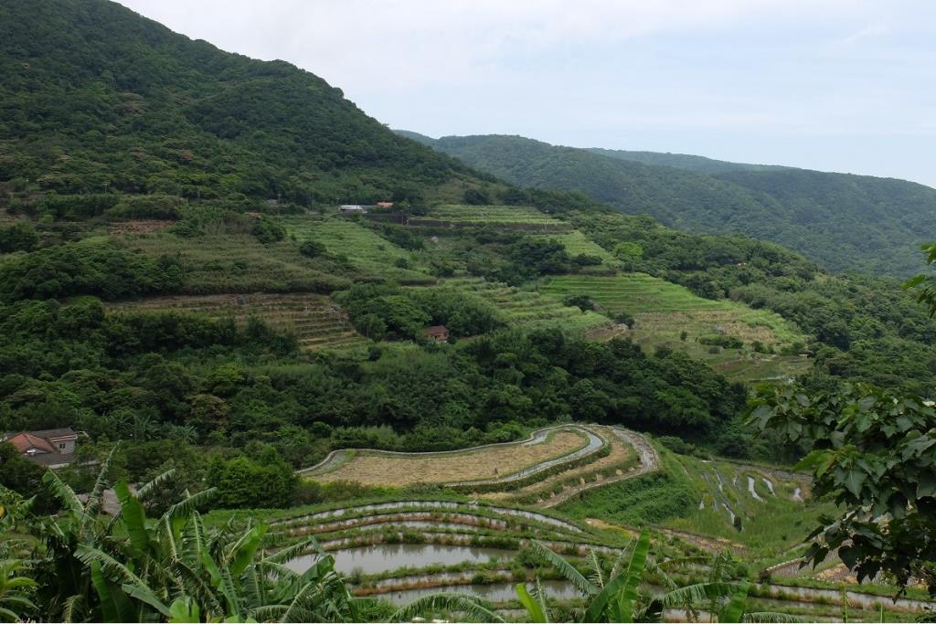 層層連綿的水梯田