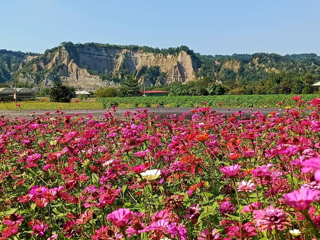 竹山小黃山 水光映山色