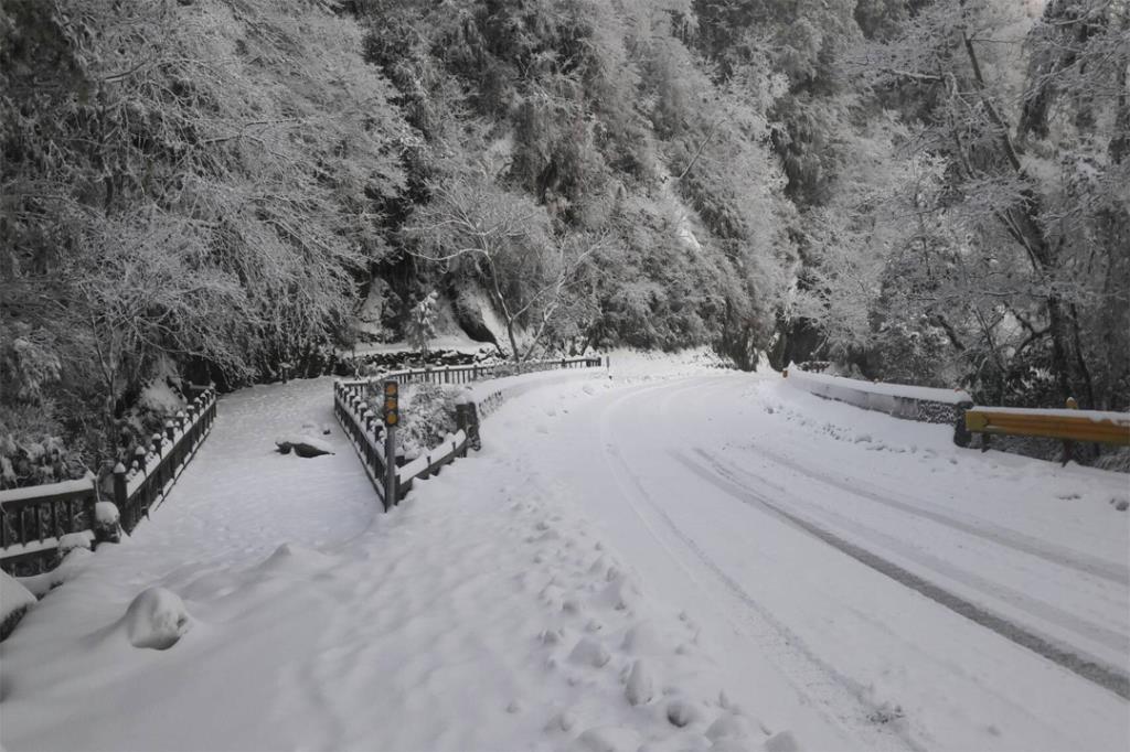 翠谷如雪