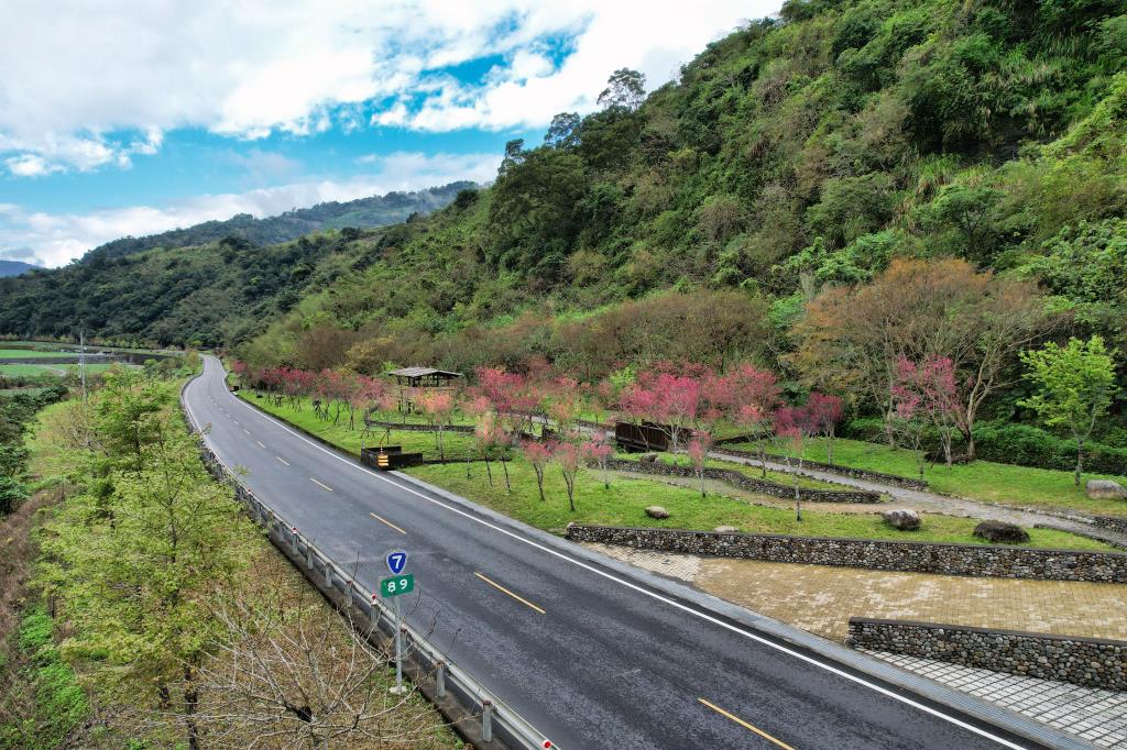 水岸櫻廊，沿著台7線及蘭陽溪的步道穿越櫻花林