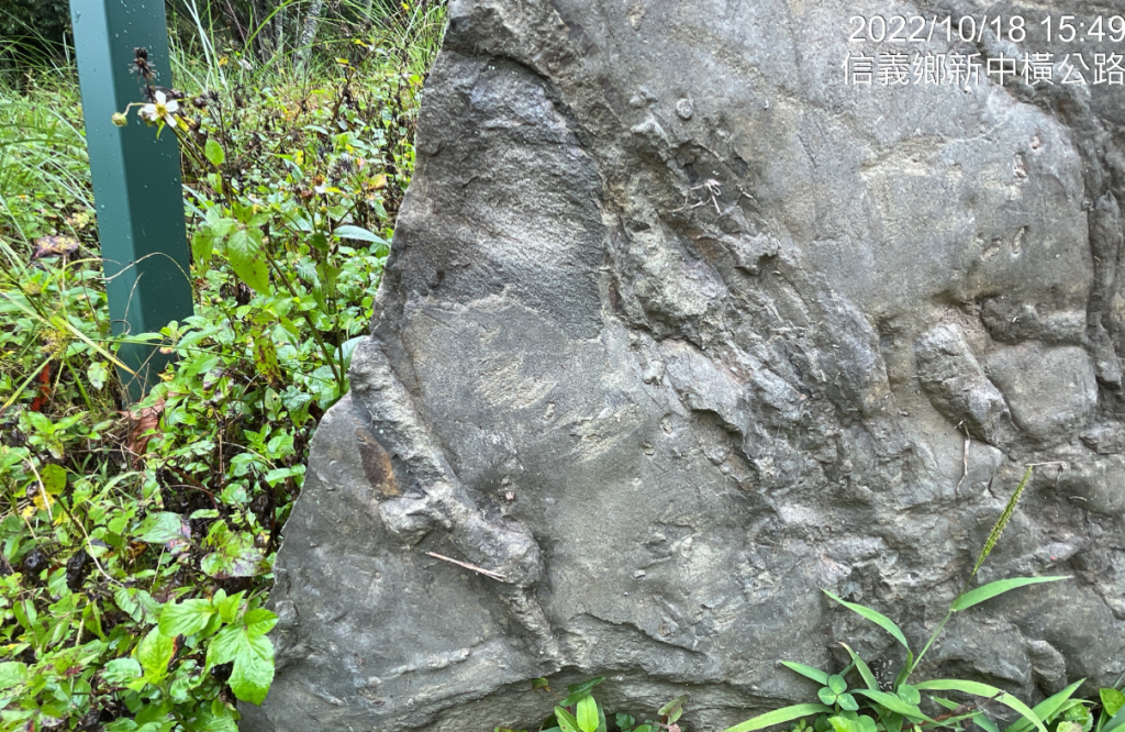 生痕化石遺跡，共3張照片
