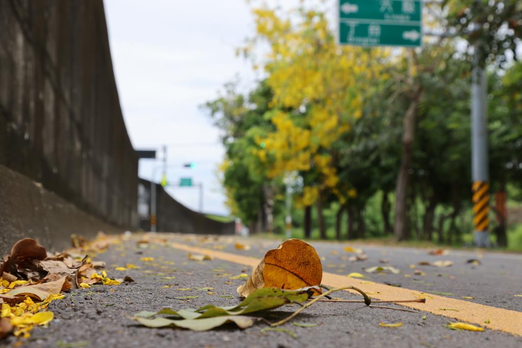 平面慢活路廊