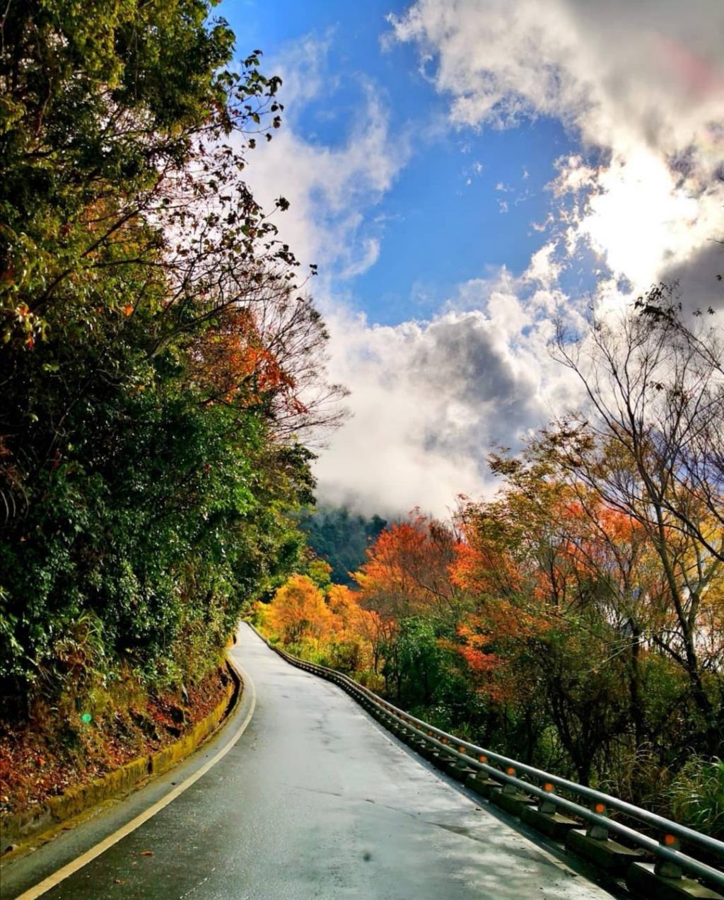 南橫公路秋色