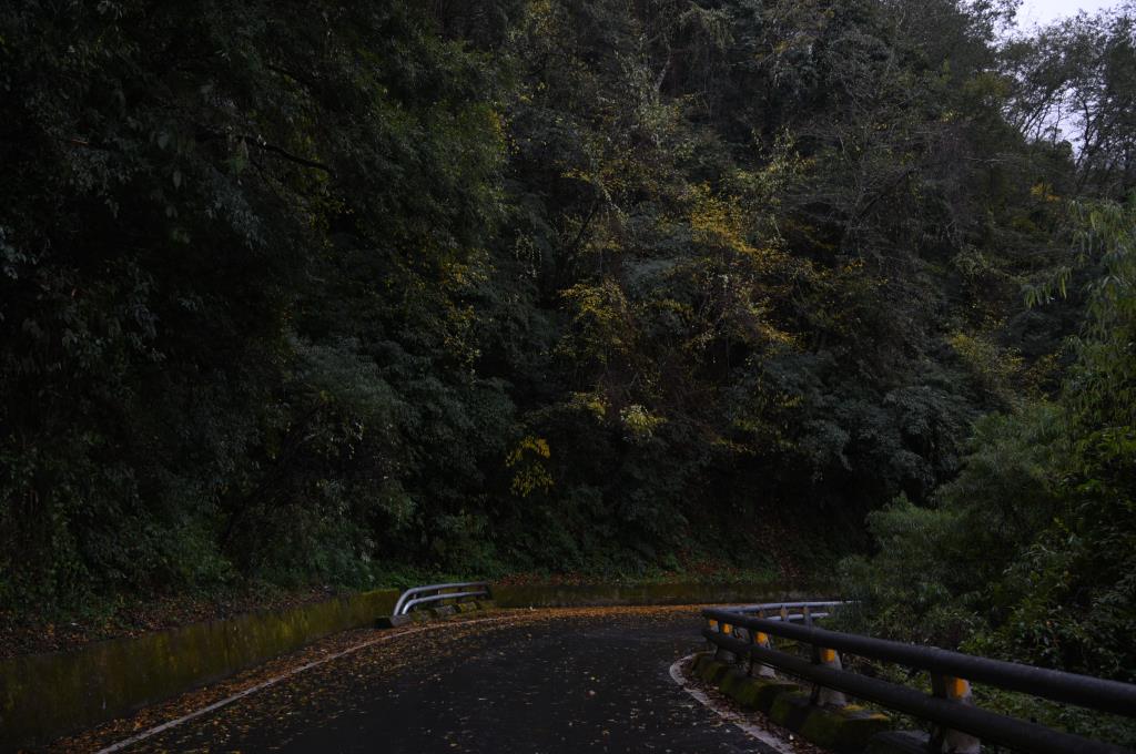 南橫公路