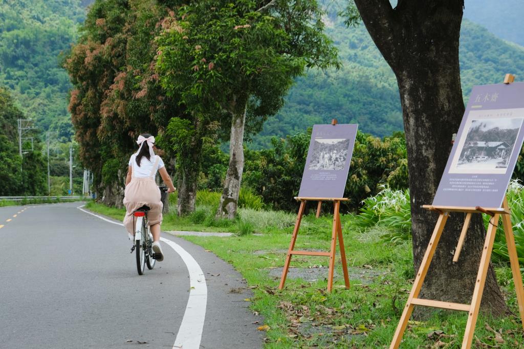 12K芒果樹藝廊