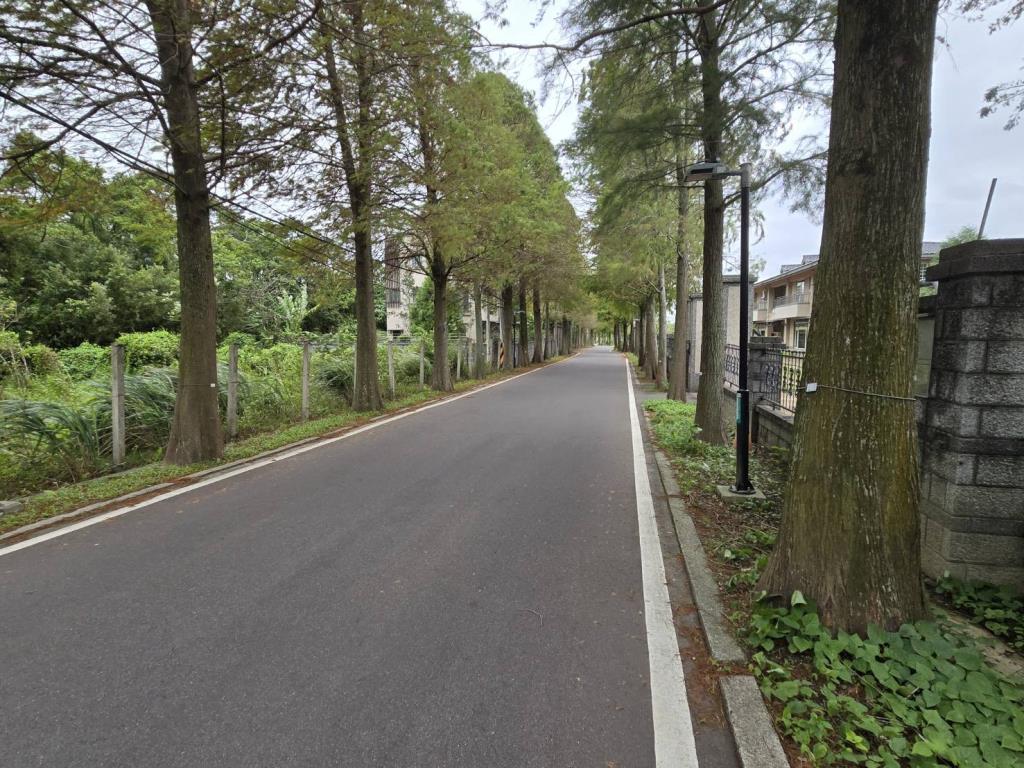 連接台3線落羽松大道前