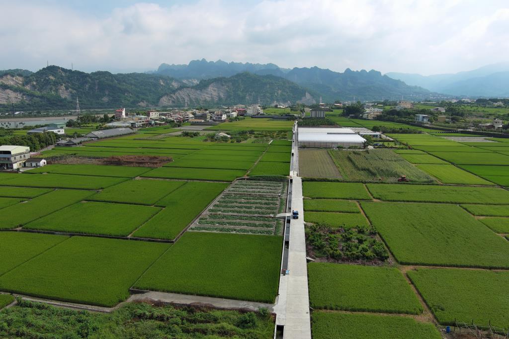 稻田成熟季節的九九峰，綠意與山景充滿詩意