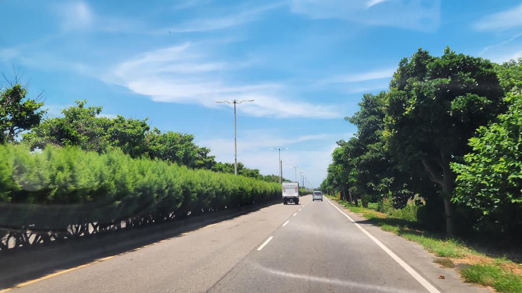 綠色海洋公路-濱海綠色隧道