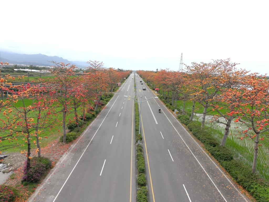 台1線435K木棉花道盛開-2