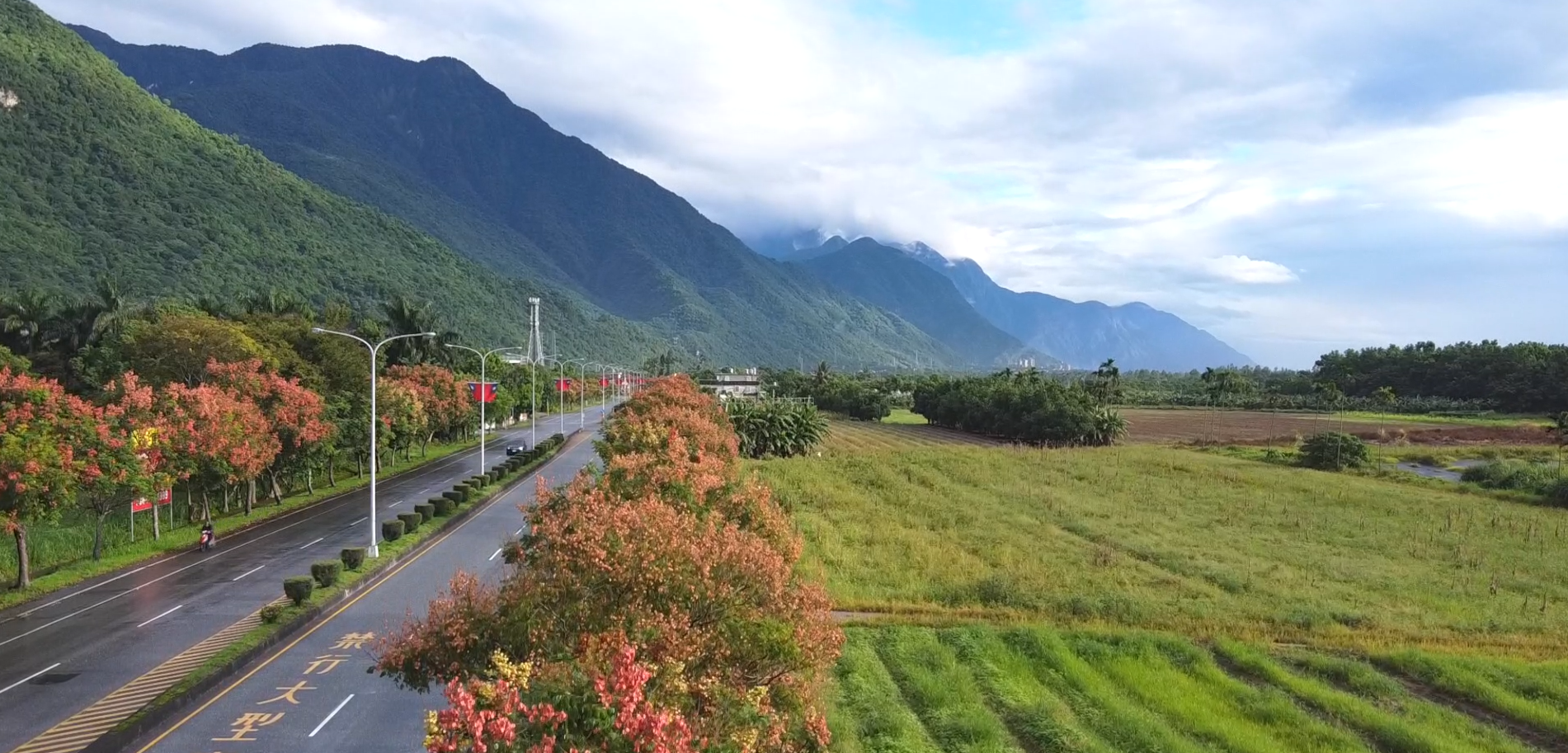 秋季台灣欒樹與山脈