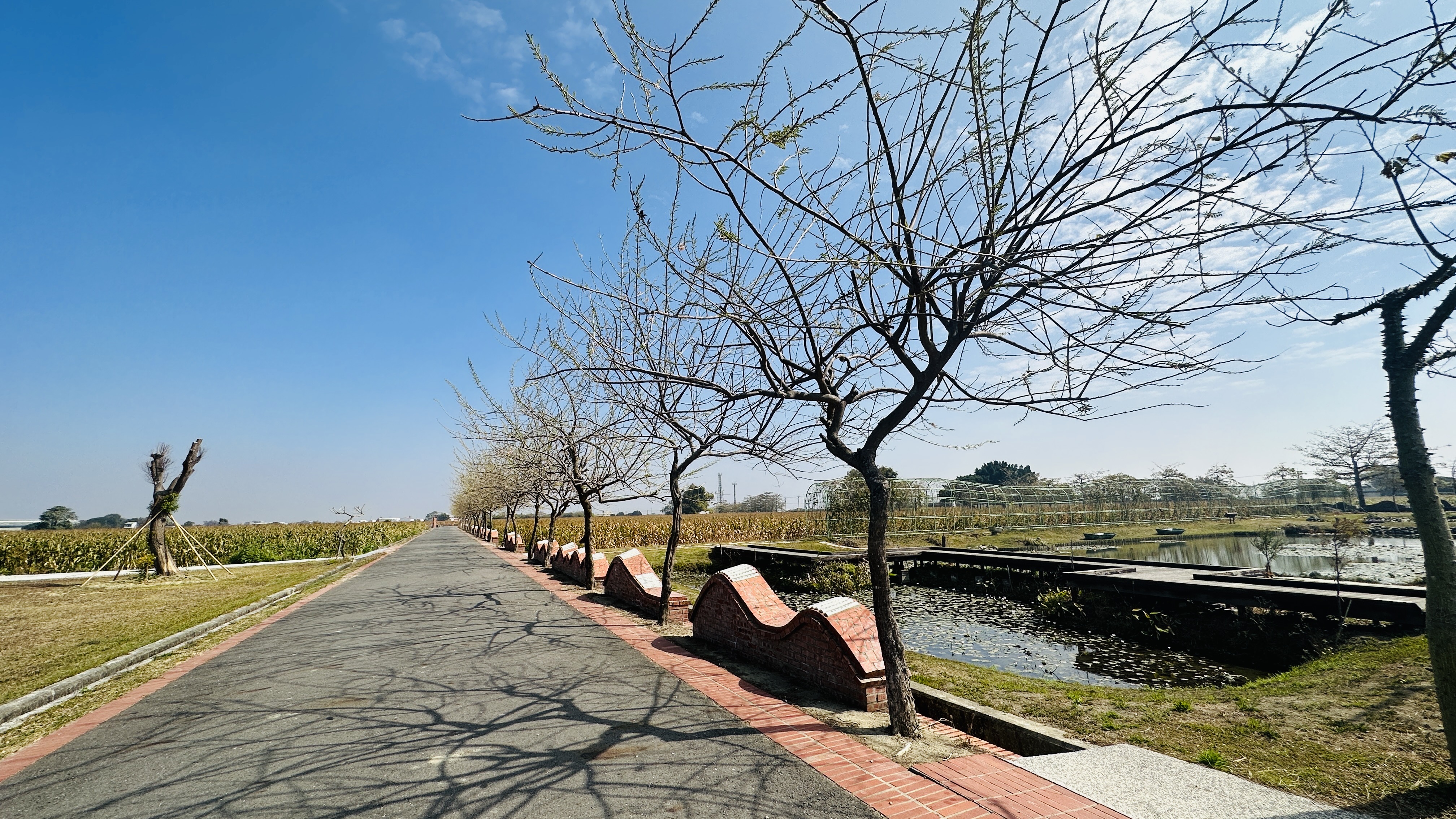 台灣詩路生態池畔