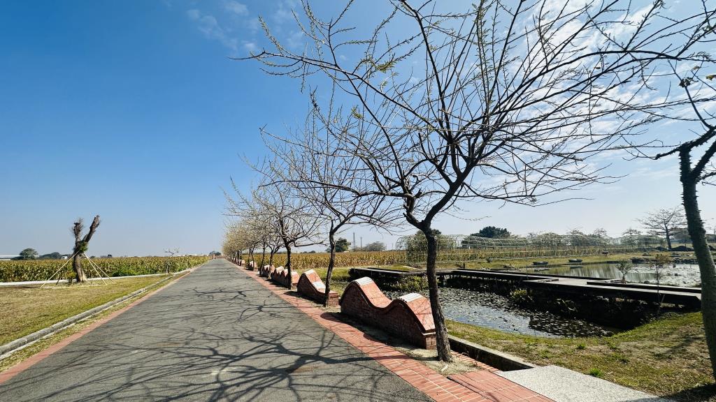 台灣詩路生態池畔