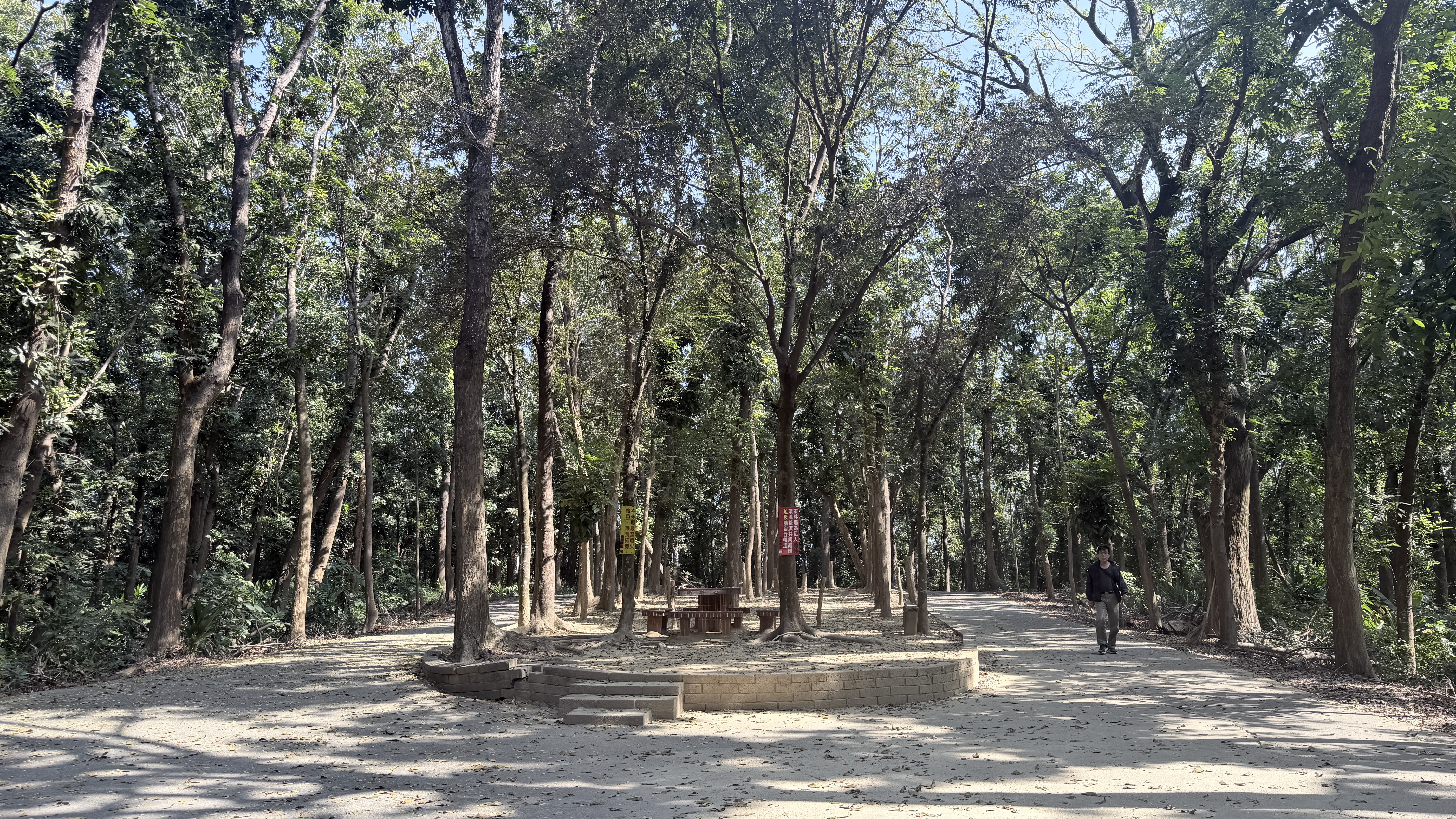 樹蔭休息區2