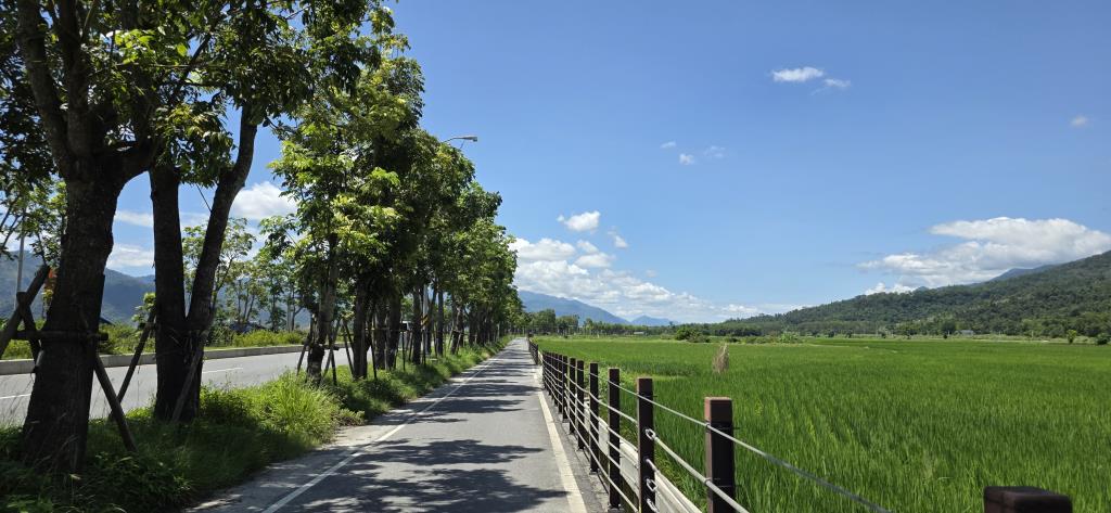 玉里以路就樹路段273+400K