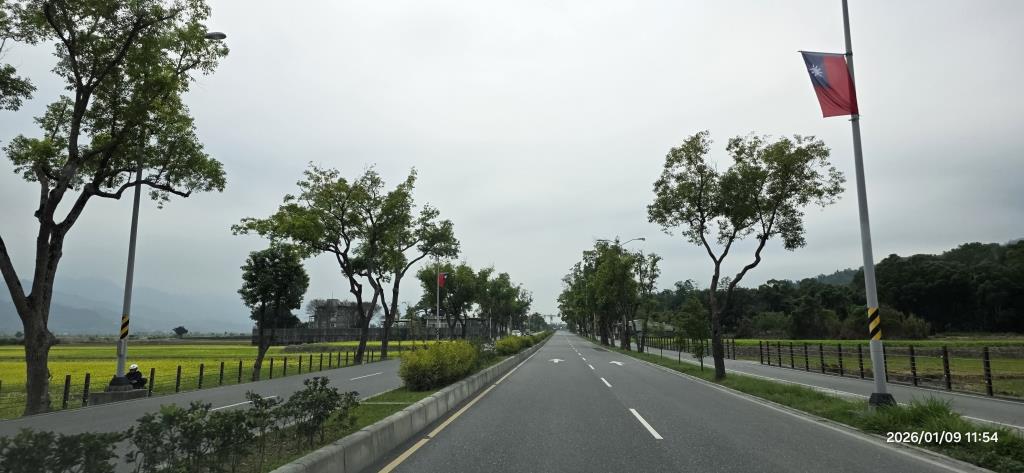 玉里以路就樹路段272+500K