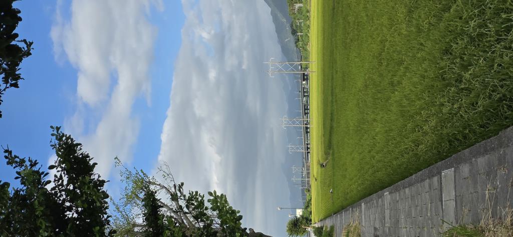 富里外環道路段298+600K