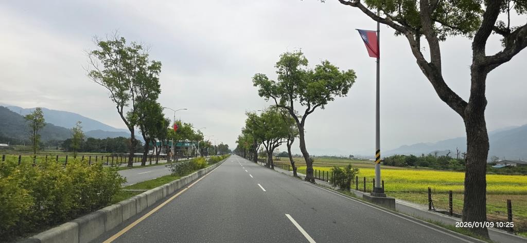 玉里以路就樹路段272+500K