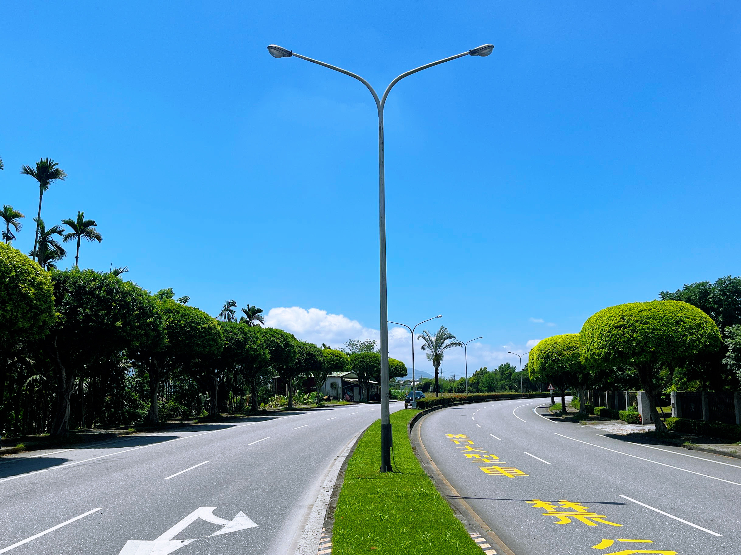 台9線224k+500水母樹