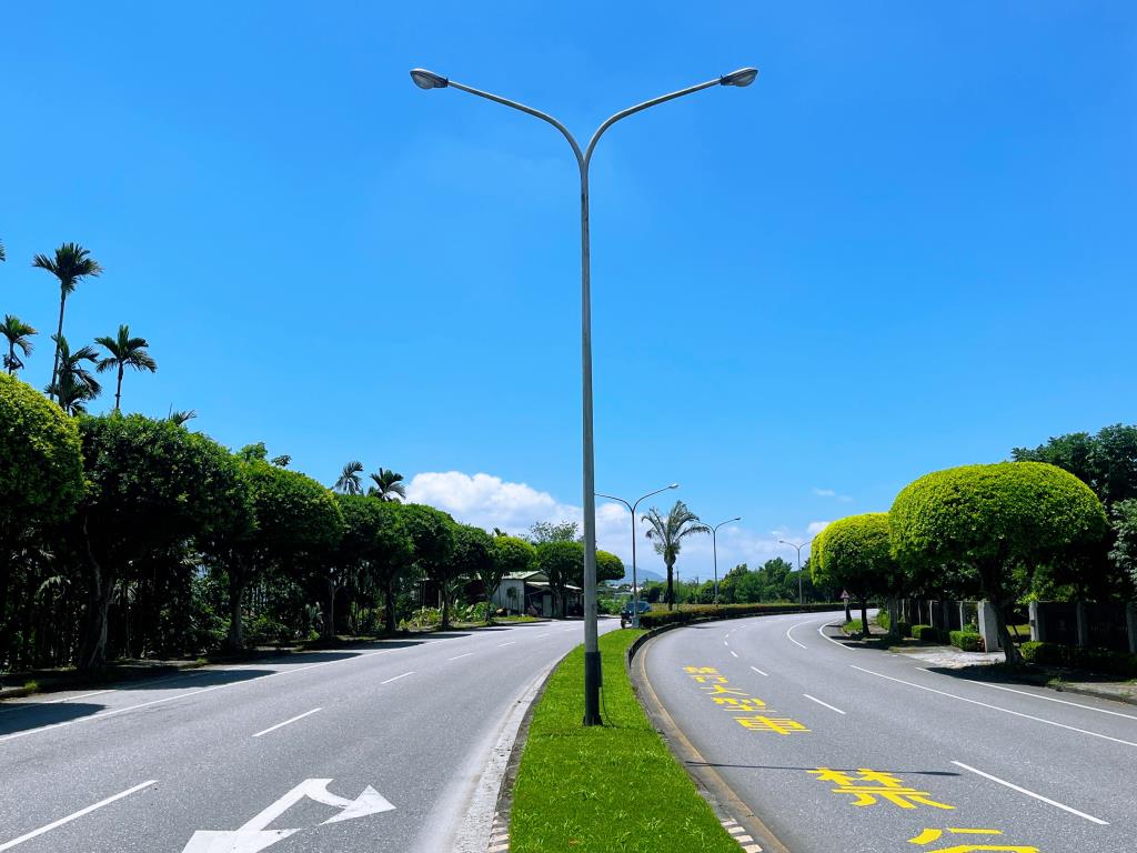 台9線224k+500水母樹