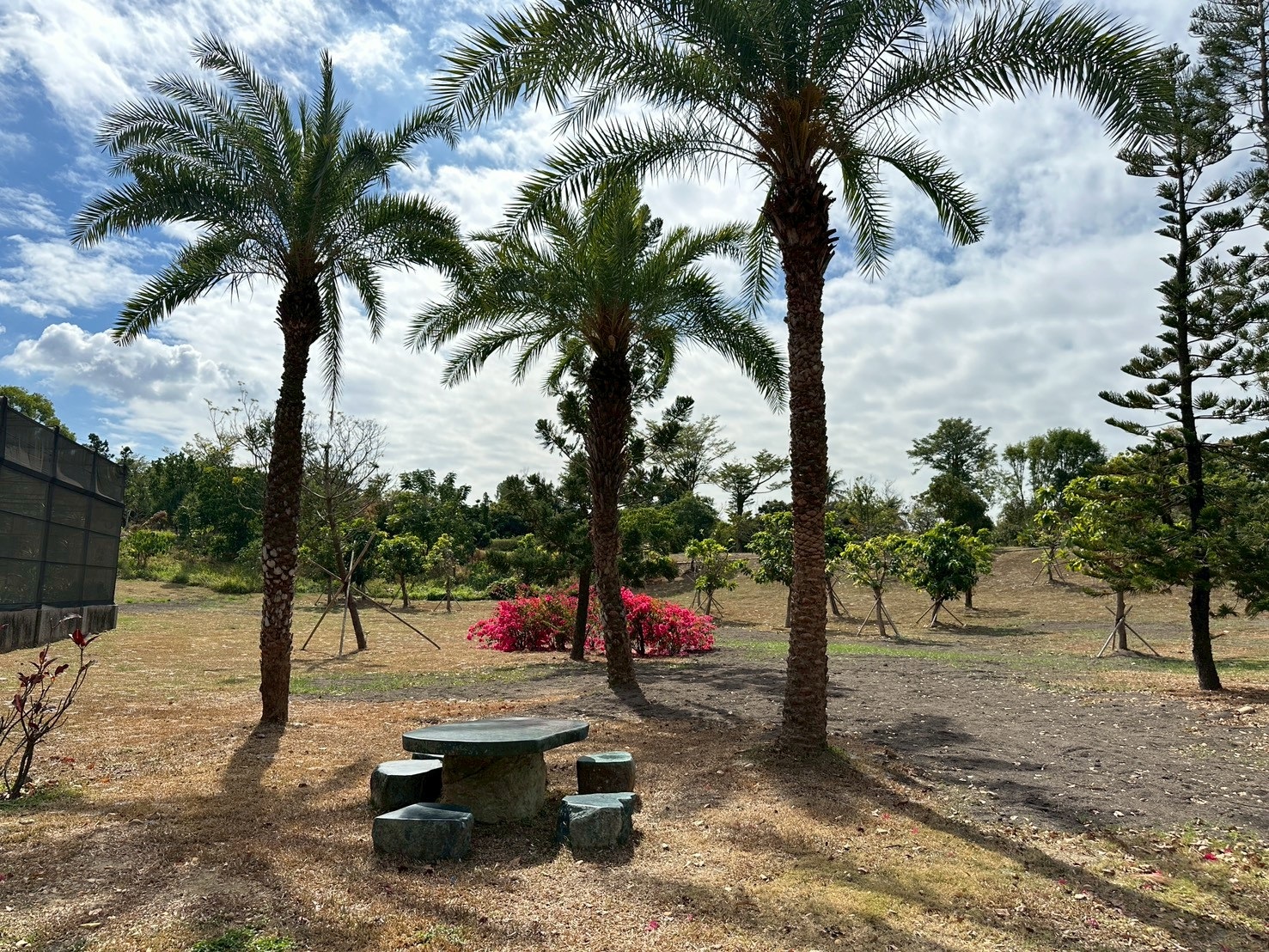 高雄市熱帶植物園休憩區
