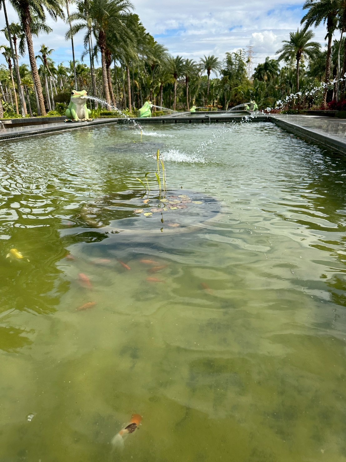 高雄市熱帶植物園水池