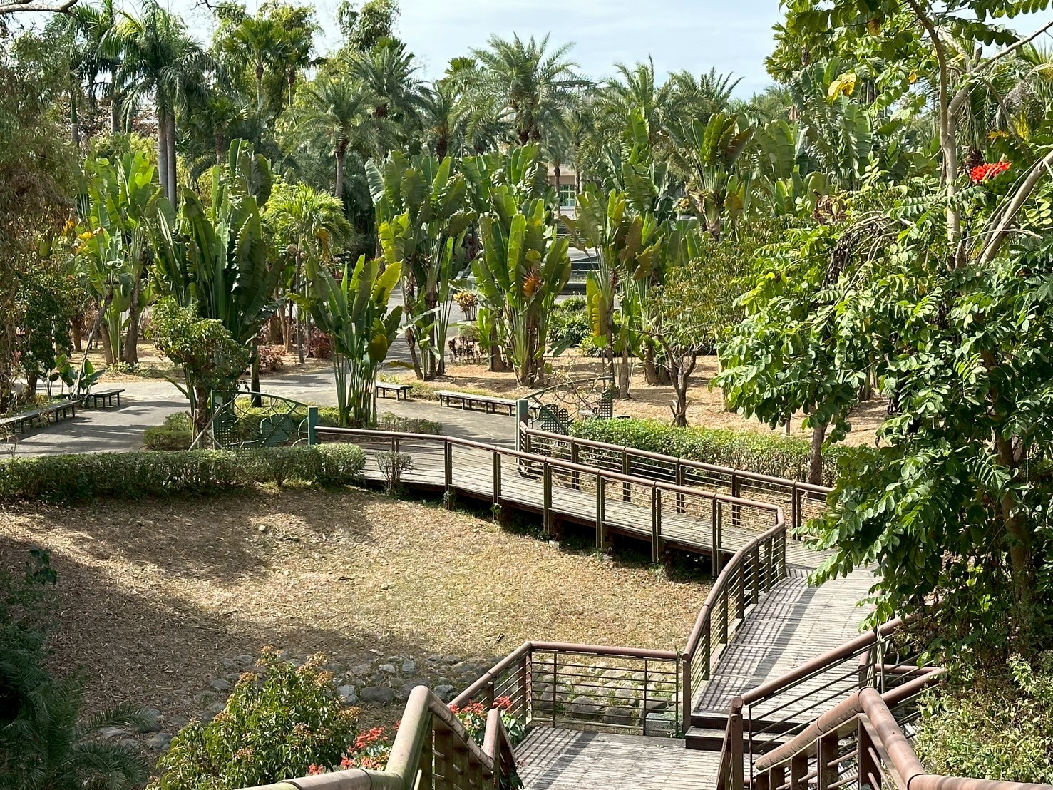 高雄市熱帶植物園步行道