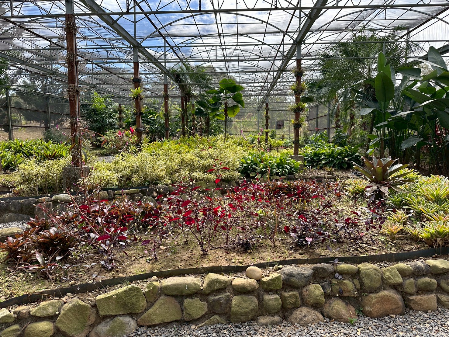 高雄市熱帶植物園網區植物