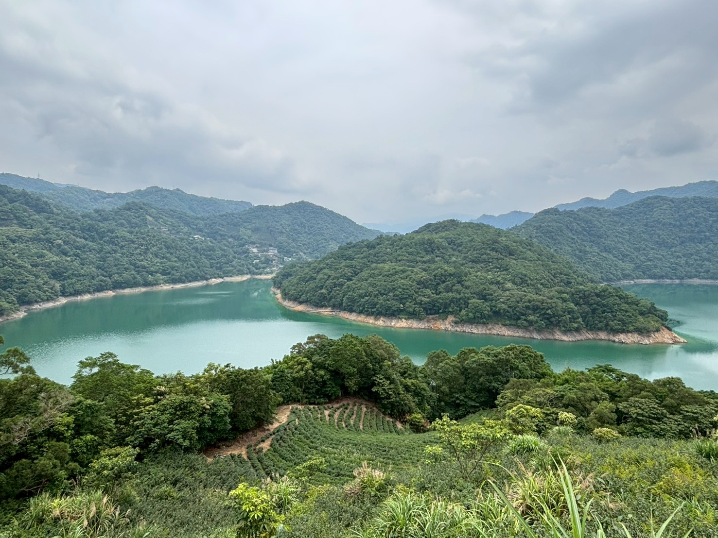 映入眼簾的是翡翠水庫湖畔的景象。