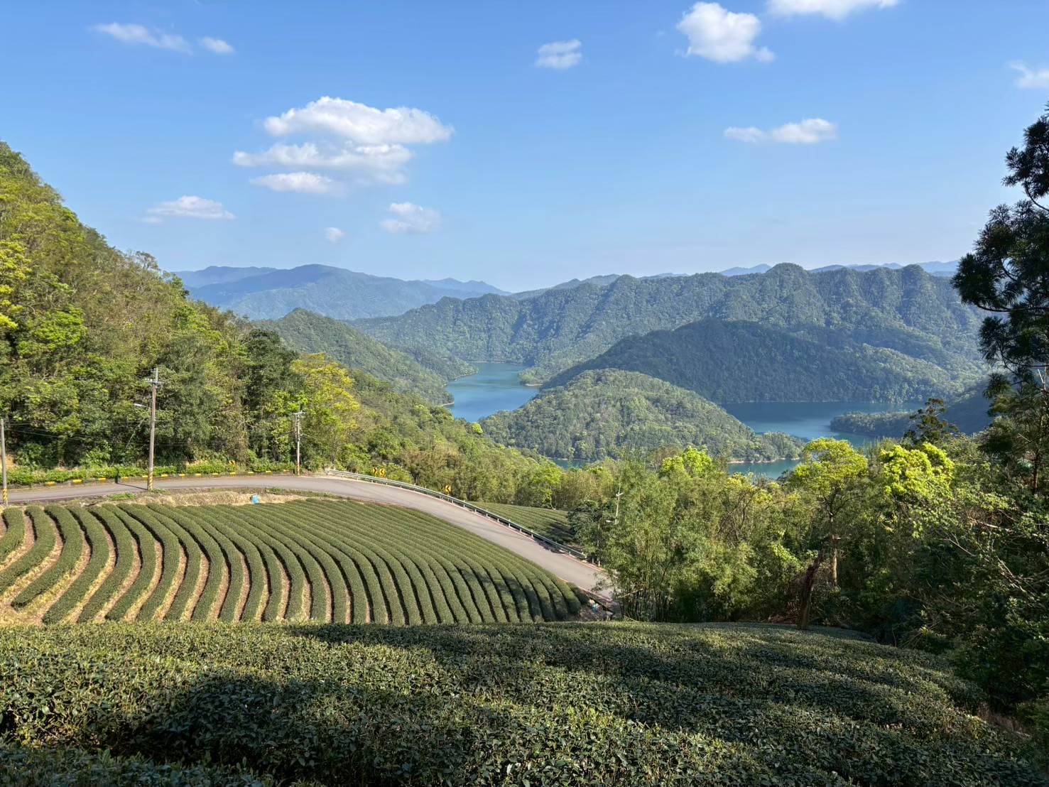 在抵達步道前,可以停留紀錄這美麗的茶園梯田景象。