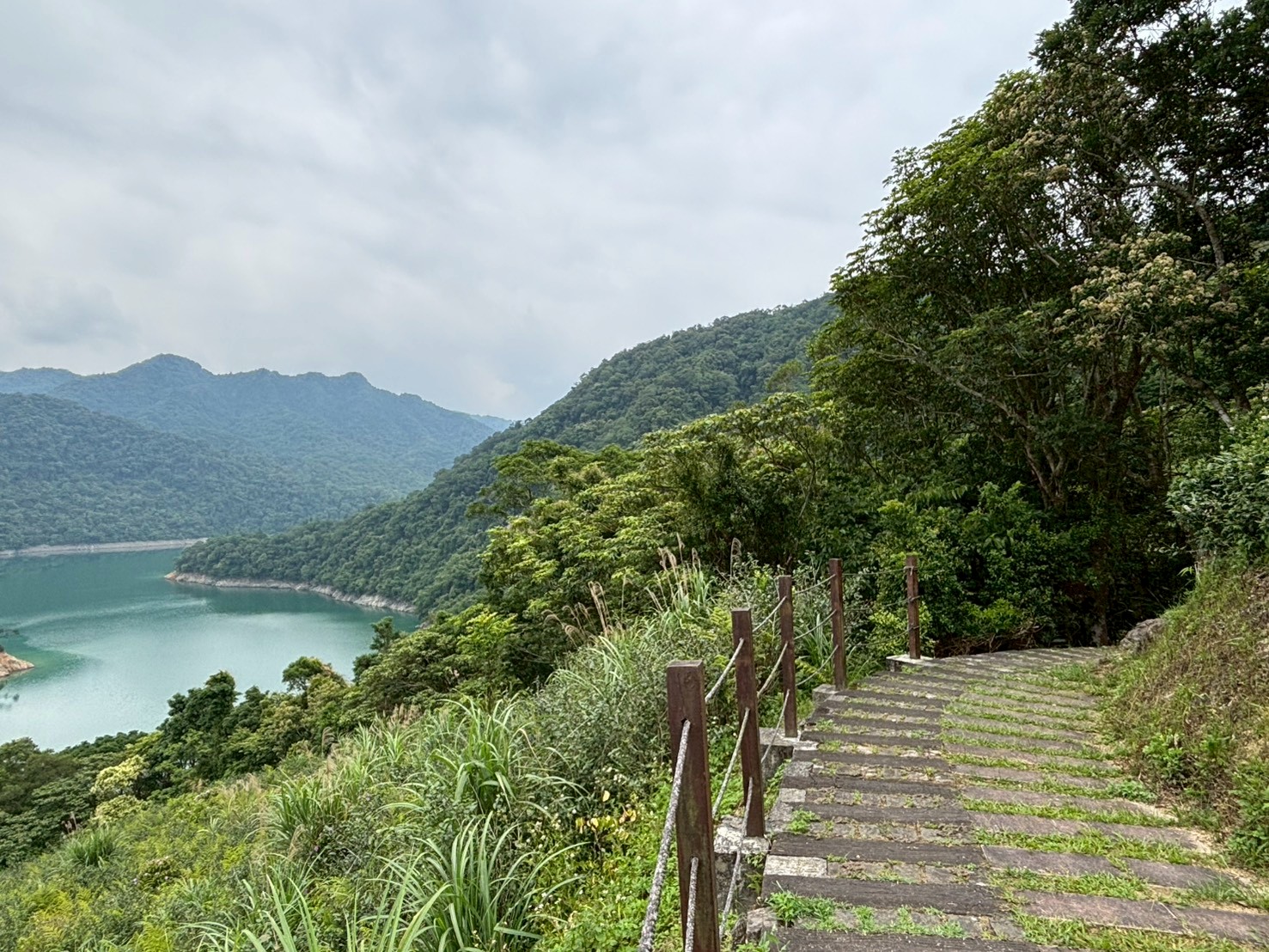 這一段路,右側是繁茂的低海拔次生林,左側則是陡峭的水庫山壁。
