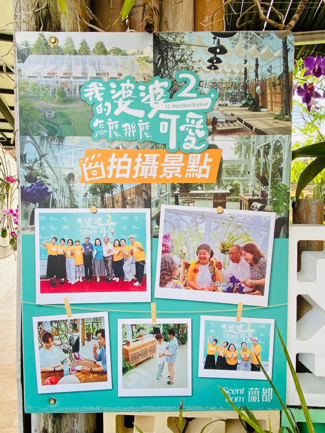 我的婆婆怎麼那麼可愛2拍攝場景劇照