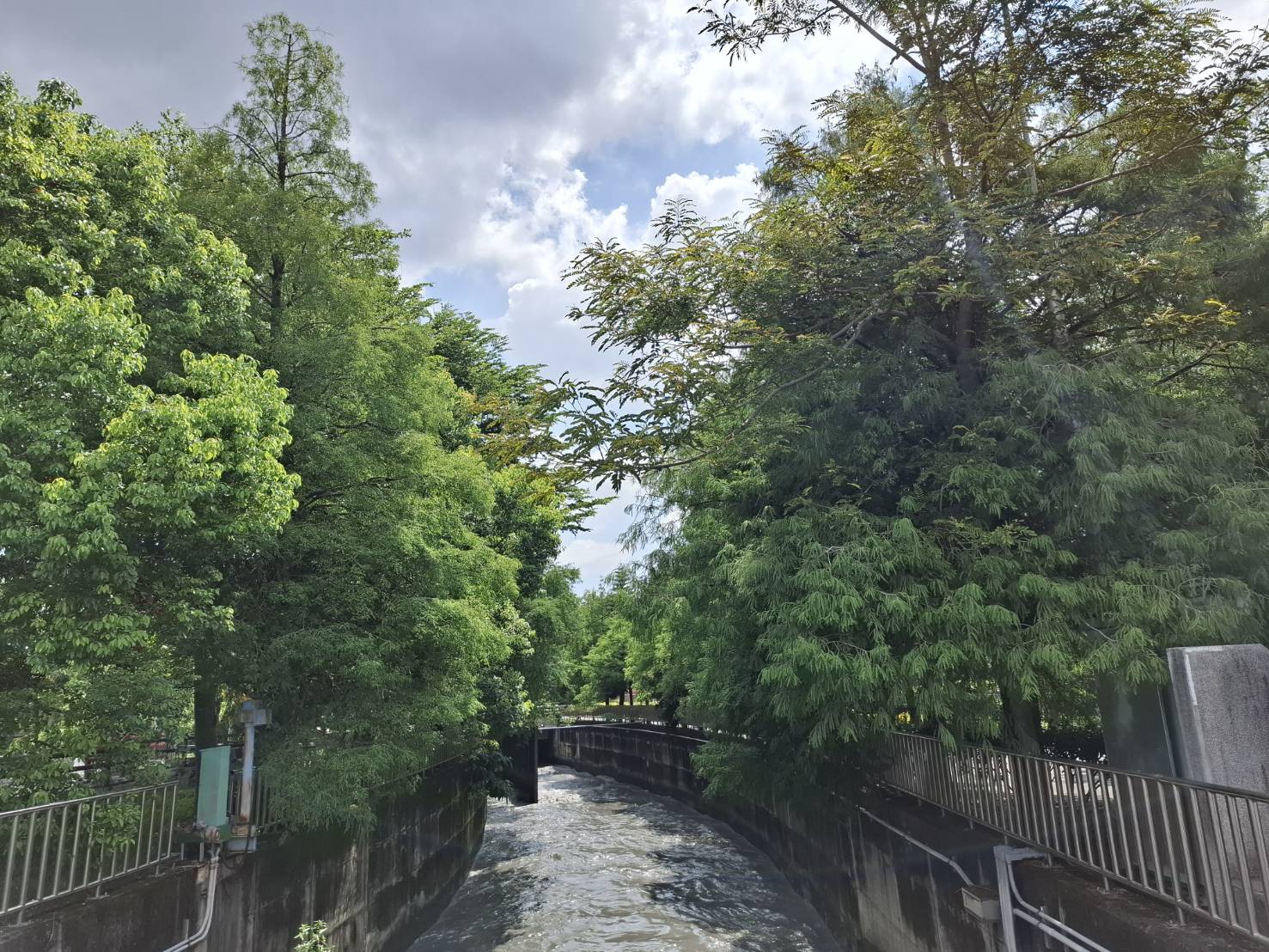 落葉松水圳