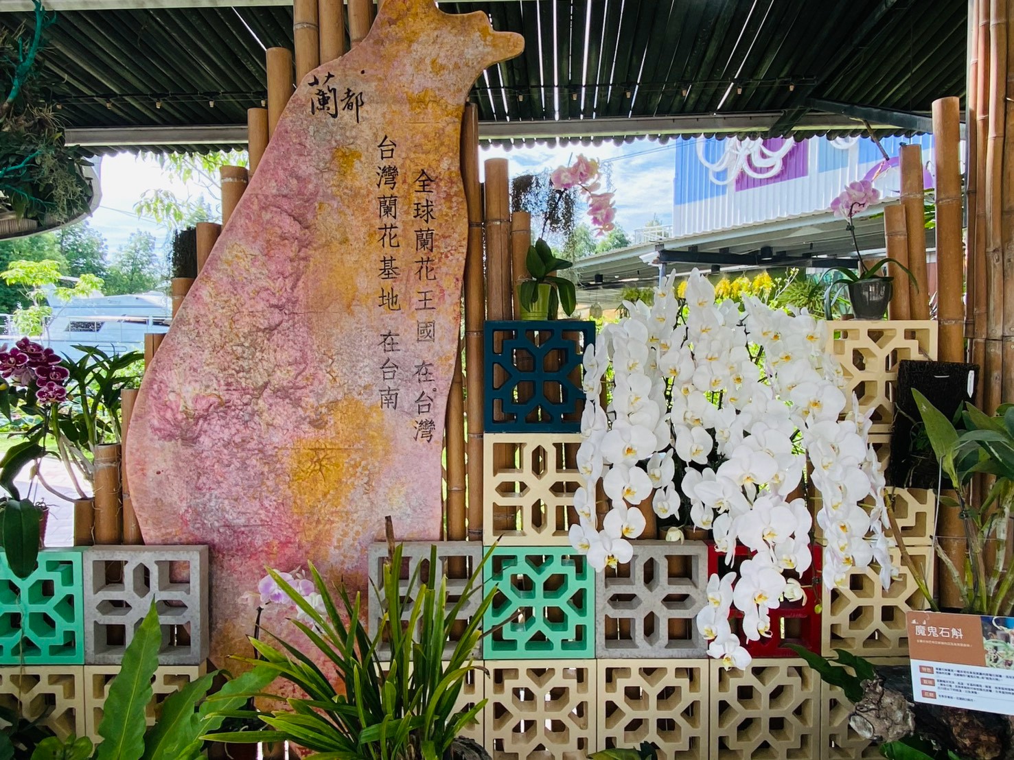蘭花迎賓廊道德台灣與蘭花
