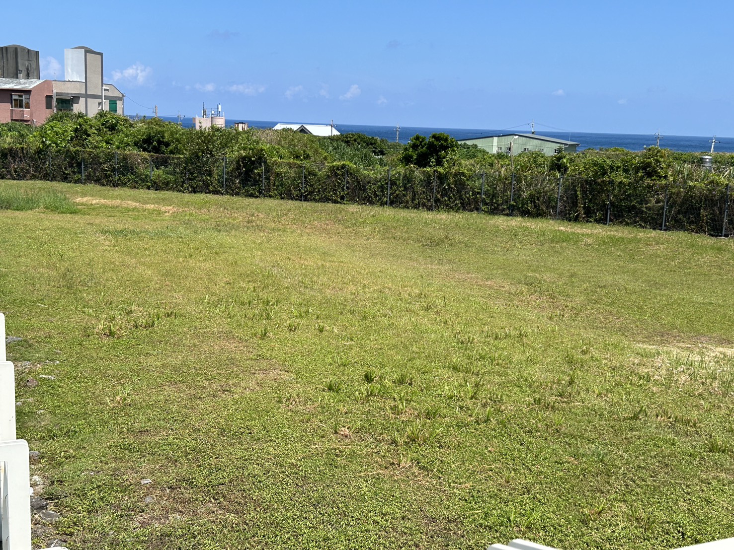 極東公園大草坪