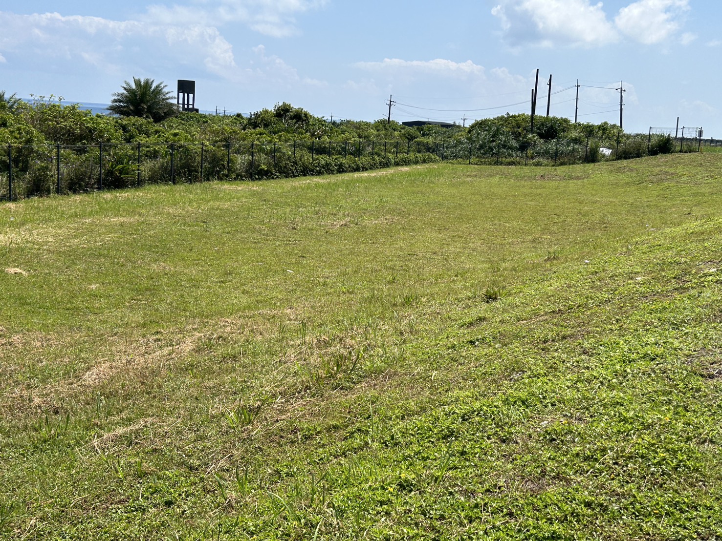 極東公園大草坪