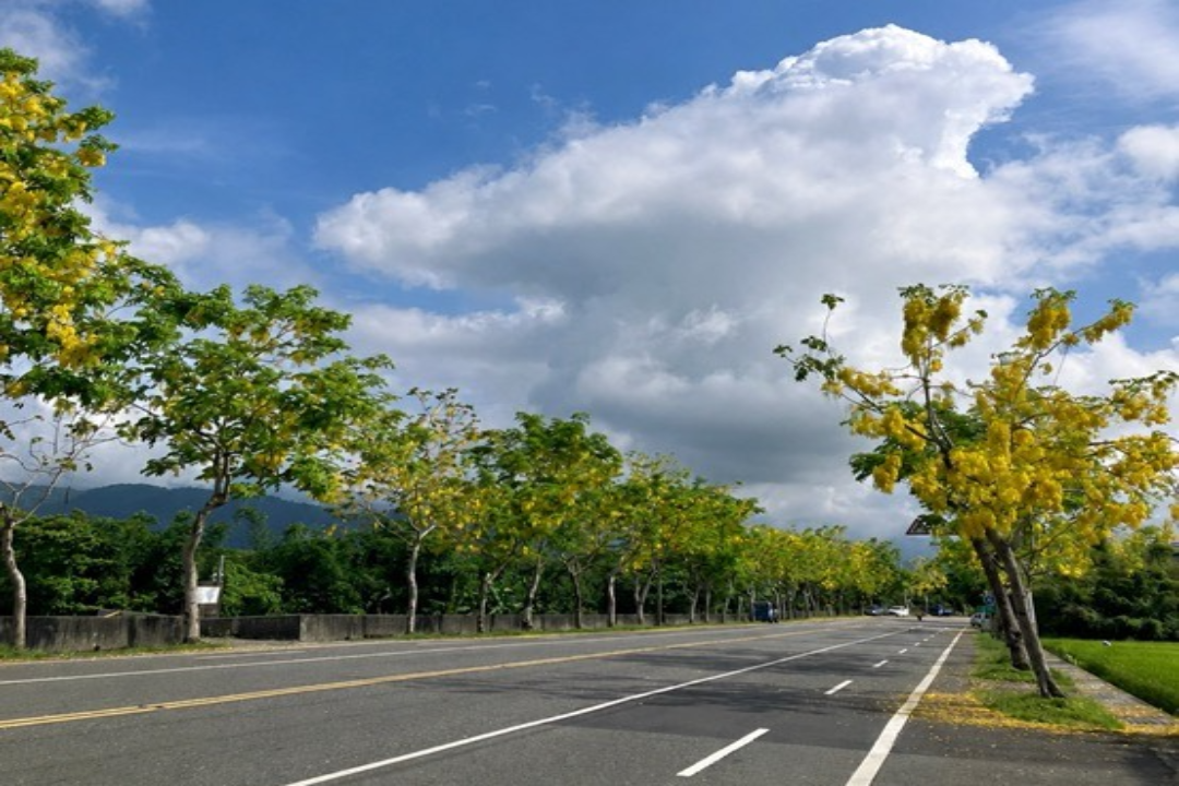 S__53256205-fotor-2026100785737